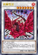 黑蔷薇龙