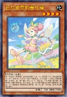 丘与发芽的春化精